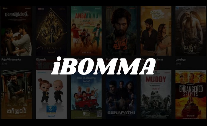 Ibomma App